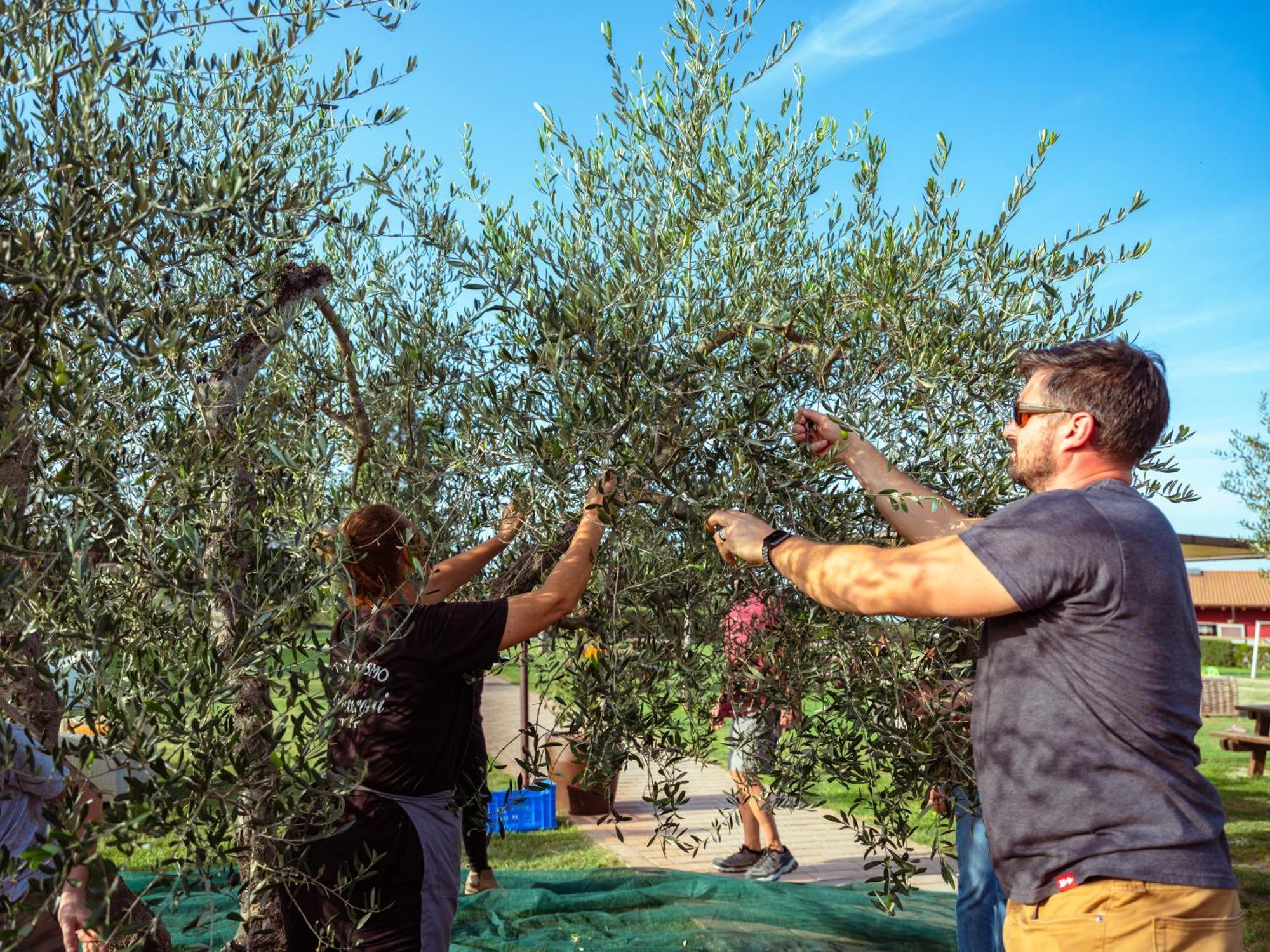 Agriturismo Biologico Diacceroni Villamagna  Экстерьер фото