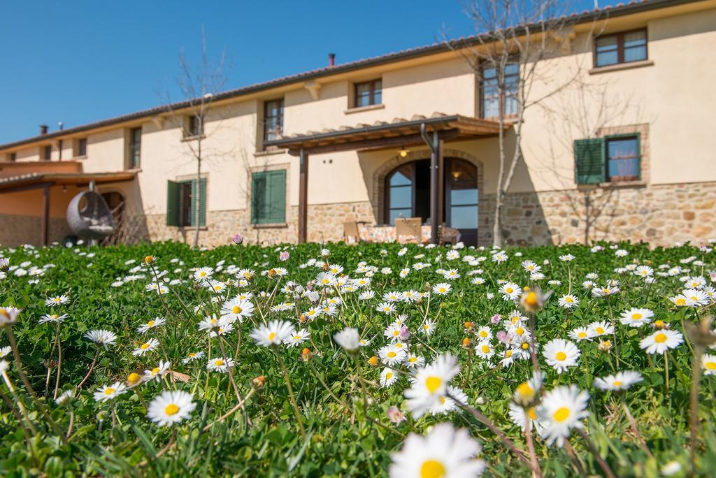 Agriturismo Biologico Diacceroni Villamagna  Экстерьер фото